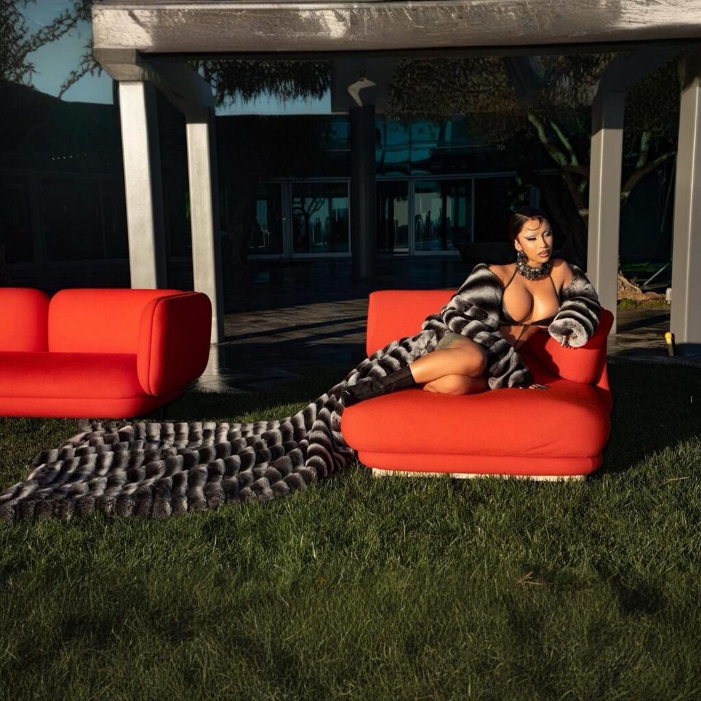 cardi-b-lingerie-16 | Divas World Order