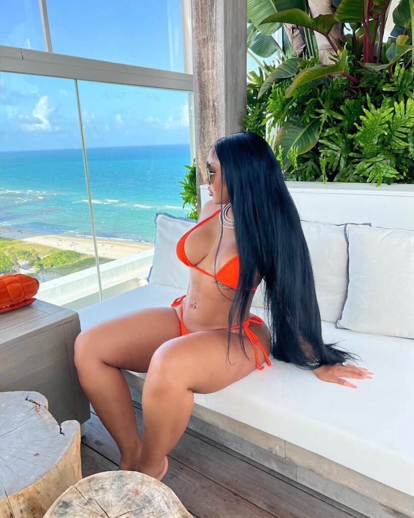 ari-fletcher-bikini-21 | Divas World Order