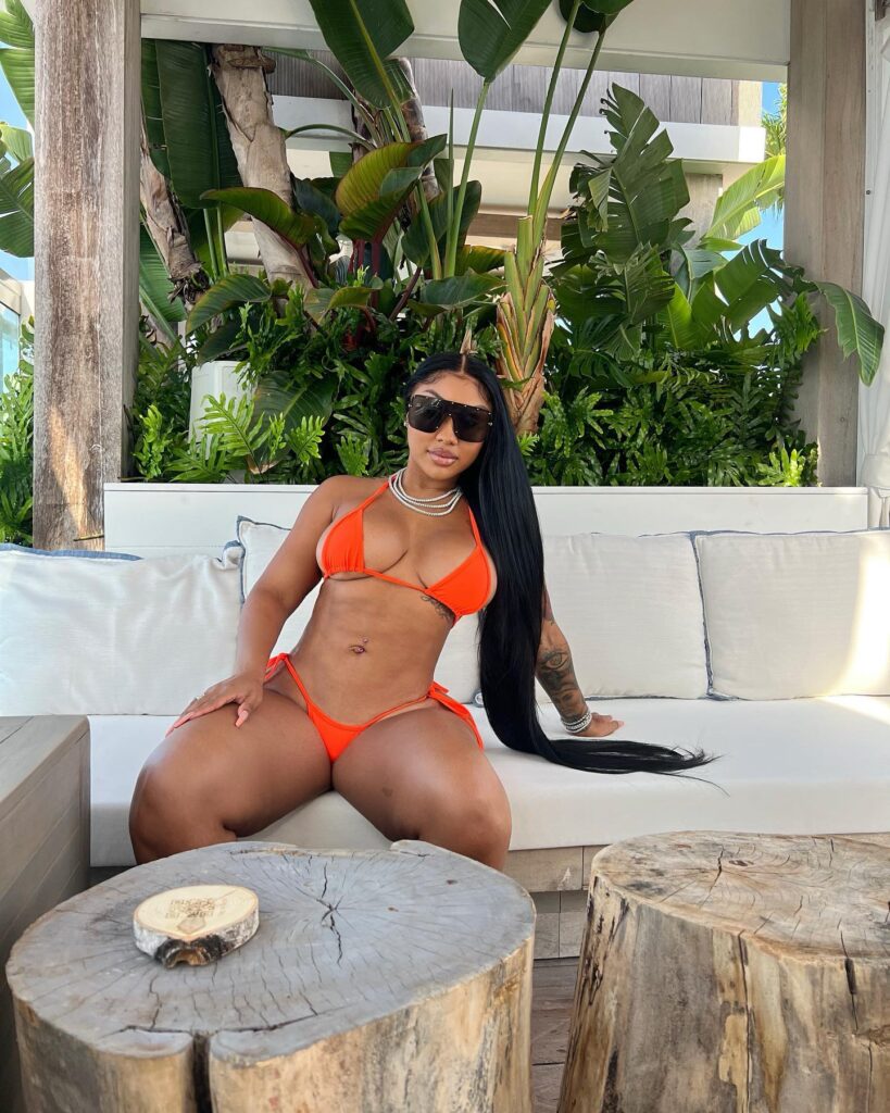 ari-fletcher-bikini-22 | Divas World Order