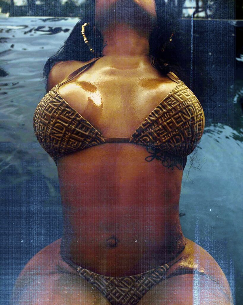 ari-fletcher-bikini-26 | Divas World Order