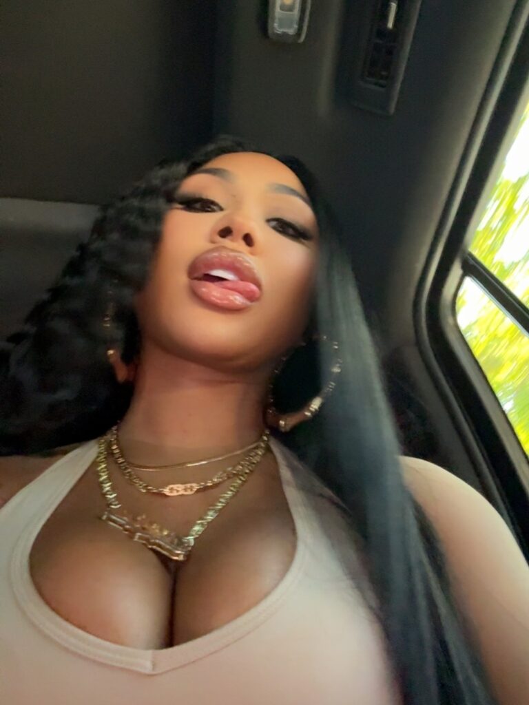ari-fletcher-cleavage-28 | Divas World Order