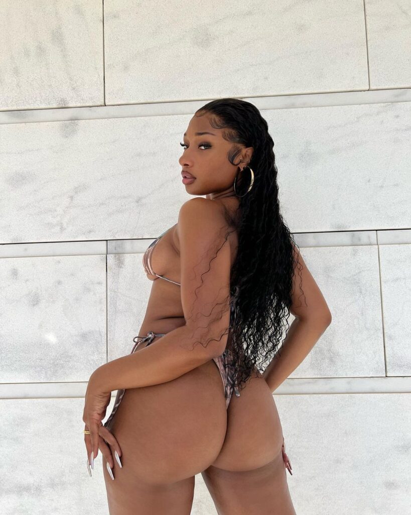 megan-thee-stallion-bikini-6 | Divas World Order