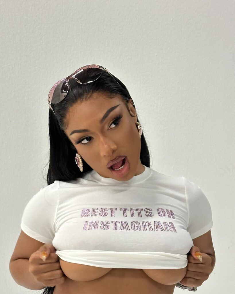 megan-thee-stallion-cleavage-14 | Divas World Order