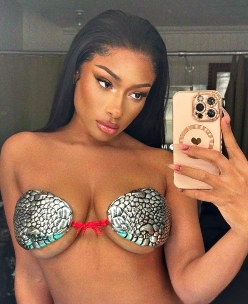 megan-thee-stallion-cleavage-2 | Divas World Order