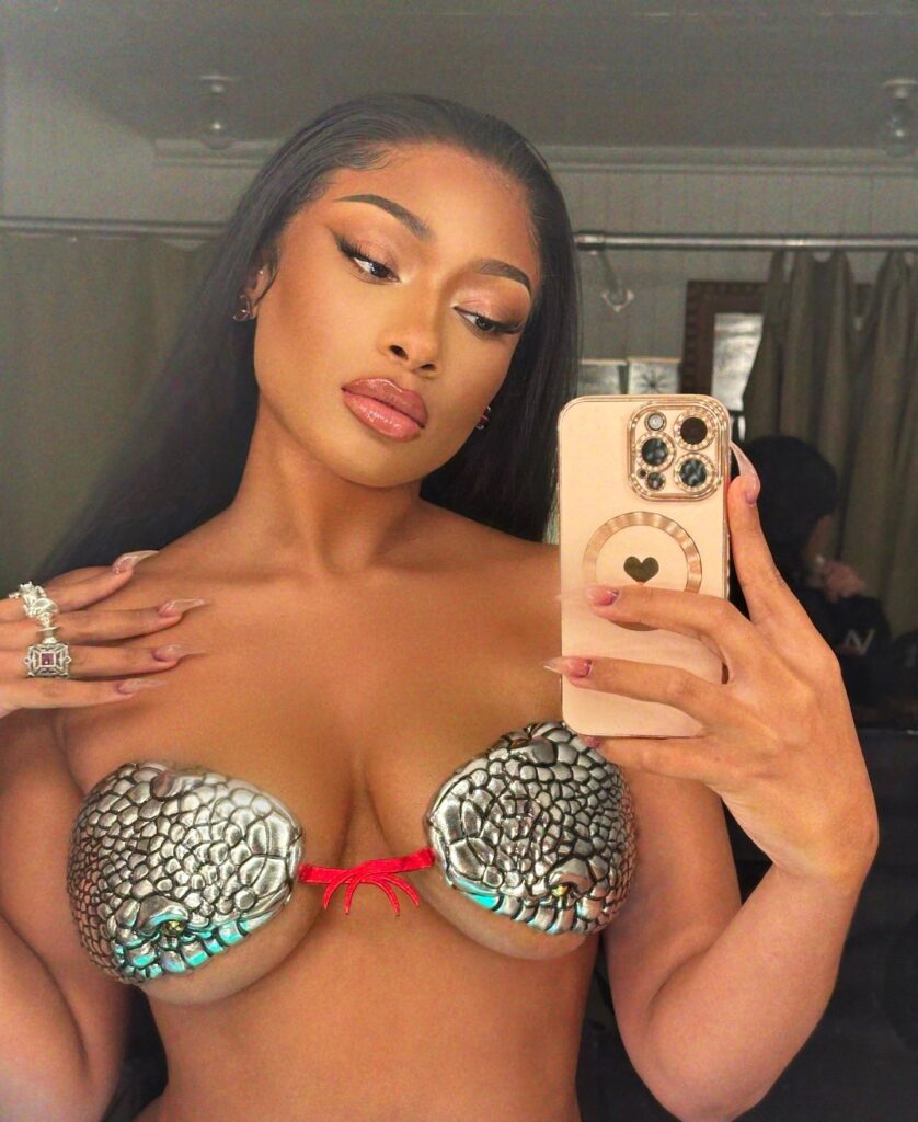 megan-thee-stallion-cleavage-3 | Divas World Order