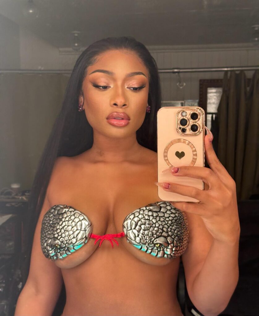 megan-thee-stallion-cleavage-4 | Divas World Order