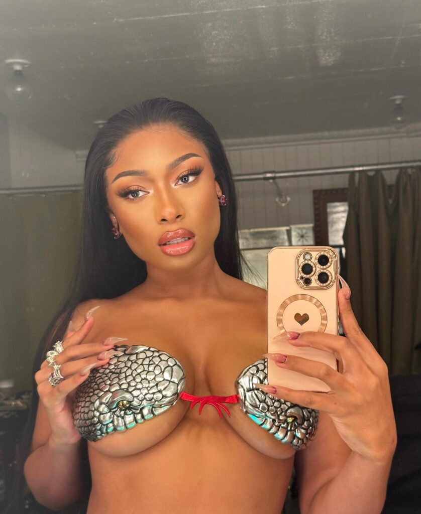 megan-thee-stallion-cleavage-5 | Divas World Order
