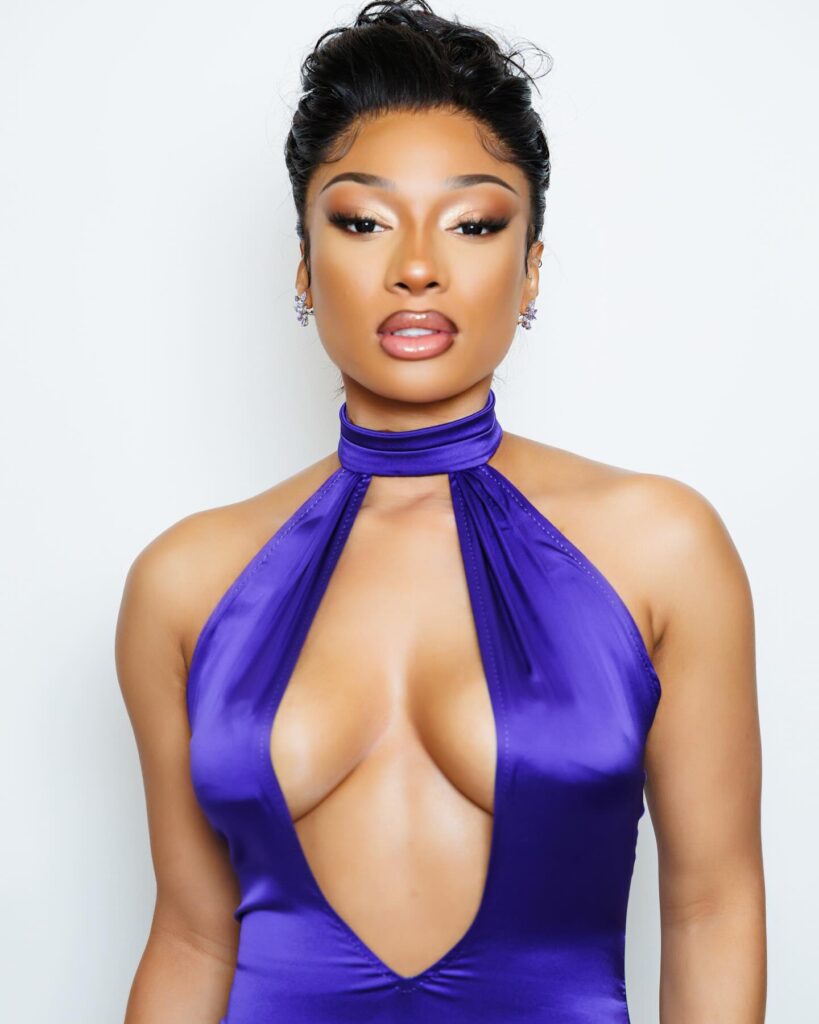 megan-thee-stallion-cleavage-7 | Divas World Order