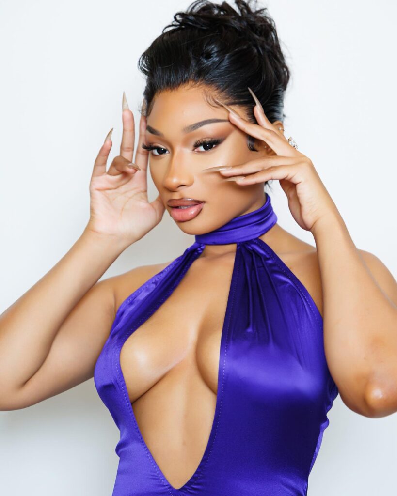 megan-thee-stallion-cleavage-8 | Divas World Order
