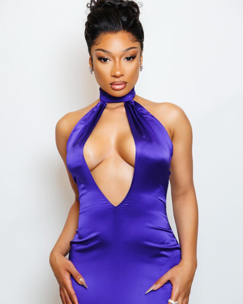 megan-thee-stallion-cleavage-9 | Divas World Order