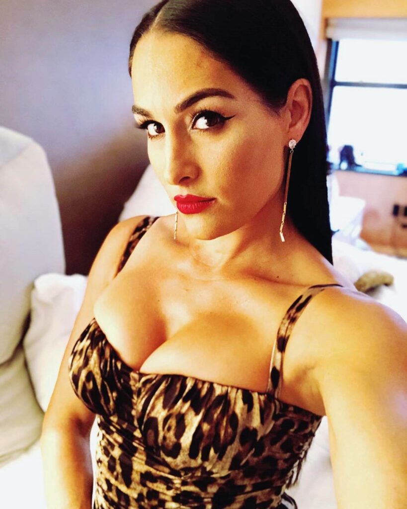 nikki-bella-cleavage-9 | Divas World Order