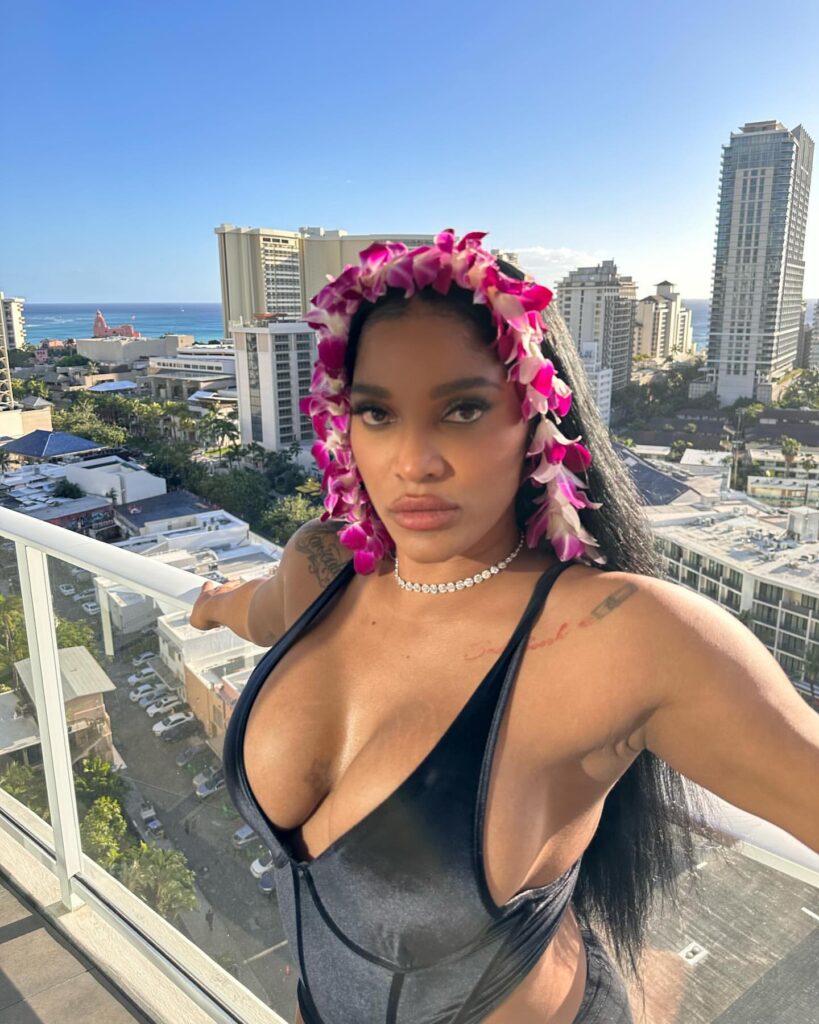 joseline-hernandez-cleavage-9 | Divas World Order