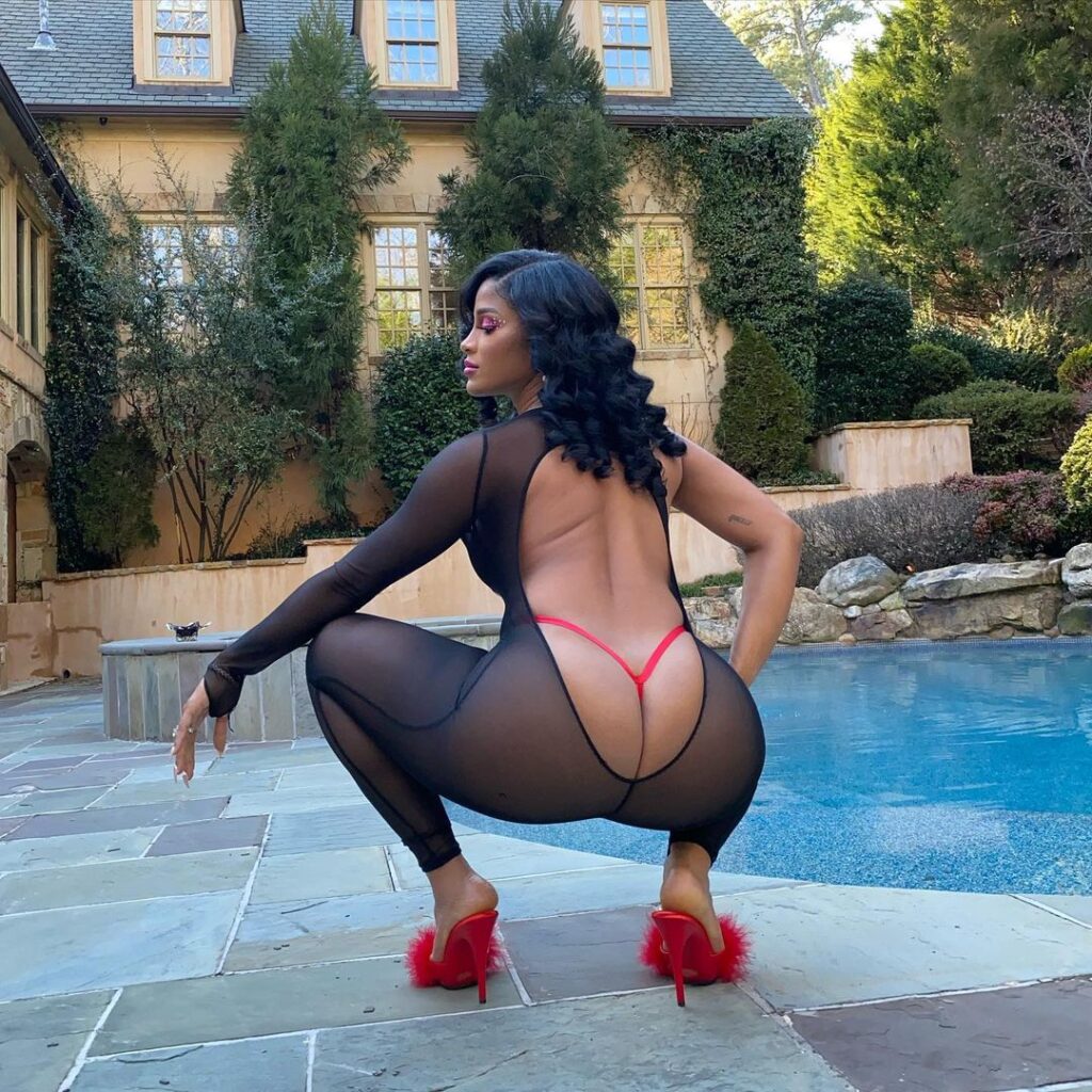 joseline-hernandez-lingerie-11 | Divas World Order