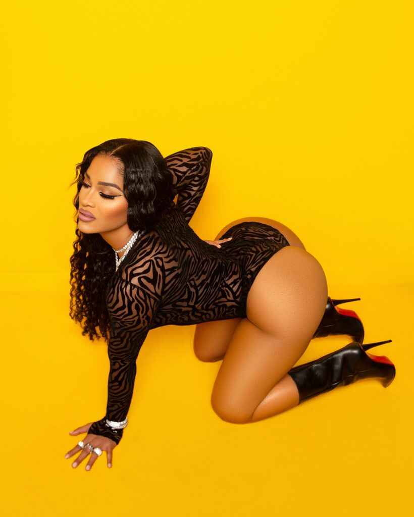 joseline-hernandez-lingerie-2 | Divas World Order