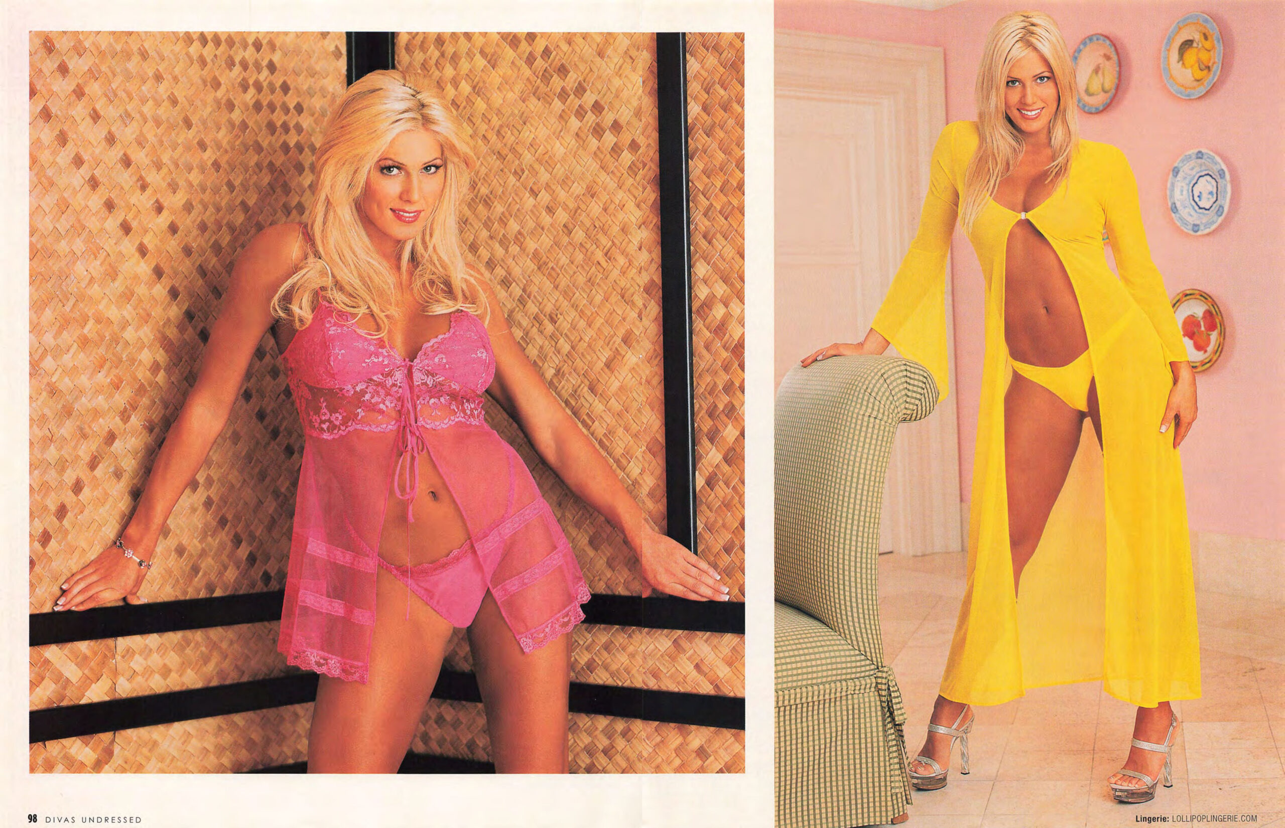 torrie wilson wwe divas undressed magazine 20024
