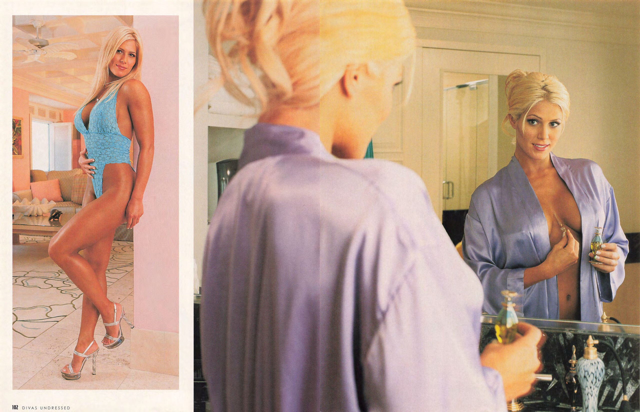 torrie wilson wwe divas undressed magazine 20026